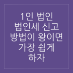 1인 법인 대출