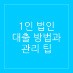 1인 법인 대출