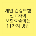 개인 건강보험